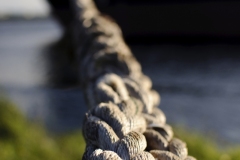 2011-09-04_7952_impression-20x30