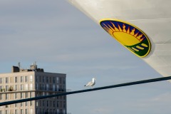 DSC0992_v10