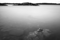 2012-07-31_1163_vimpression