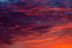 DSC4820-v10