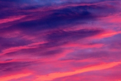 DSC4825_v10