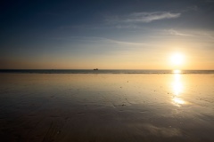 DSC5654_v10