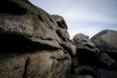 DSC1890_v10
