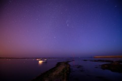 DSC2567-v10
