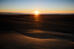 DSC8430_v10