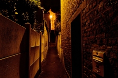 DSC5395_v10