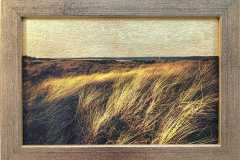 Dune