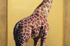 girafe