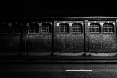 DSC1119_v10