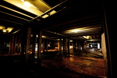 DSC3920_v10