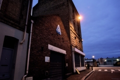 DSC5334_v10