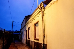 DSC5338_v10