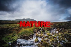 negation-nature