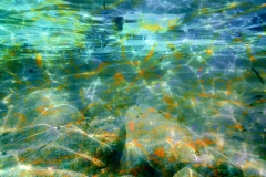 EAU