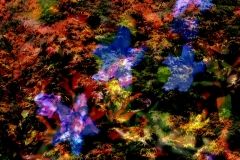 feuillage-6