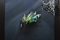 pixellisation-V